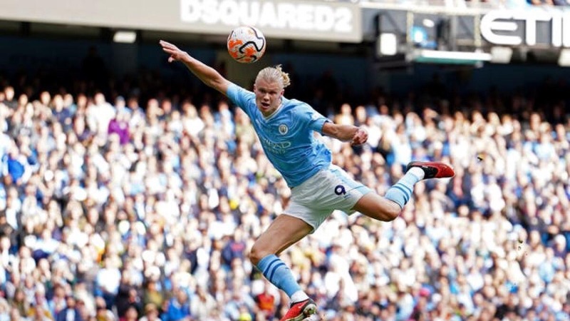 Và cũng có rất nhiều kỷ lục thú vị