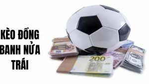 Tất tần tật về kèo đồng banh nửa trái, kinh nghiệm để thắng cược lớn