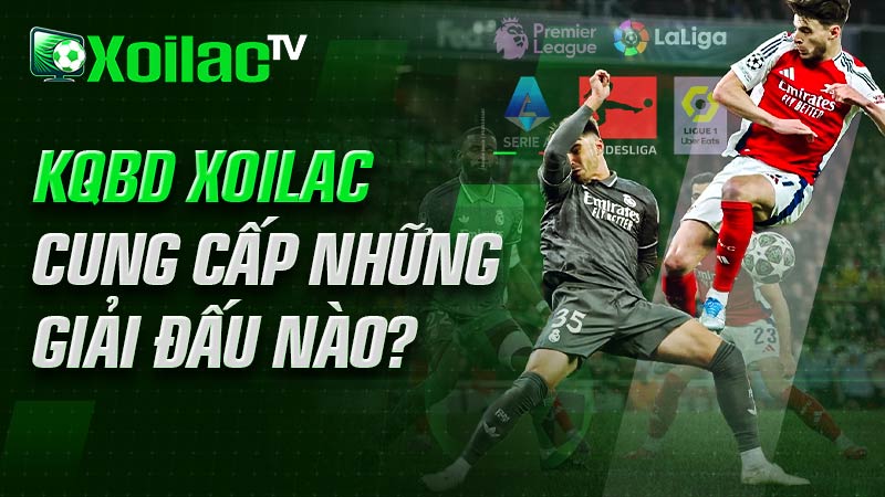 Những giải đấu mà kqbd xoilac tv cung cấp cho người xem