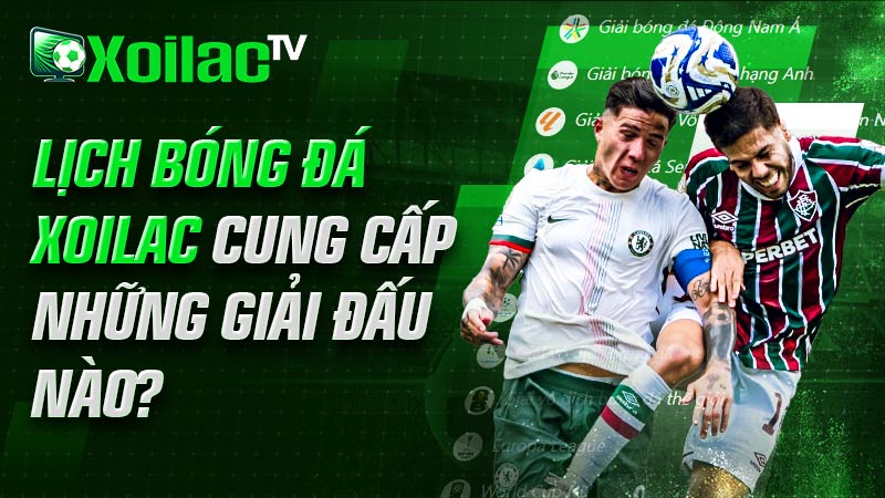 Toàn bộ những giải đấu được xoilac tv cung cấp ở chuyên mục lịch thi đấu